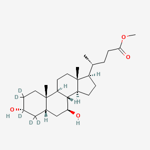 molecular formula C25H42O4 B562756 Ursodeoxycholic Acid-d5 Methyl Ester CAS No. 93701-19-0
