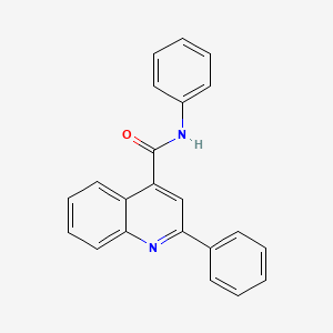 molecular formula C22H16N2O B5628038 N,2-diphenylquinoline-4-carboxamide 