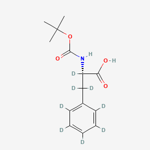 molecular formula C14H19NO4 B563412 BOC-L-phenylalanine-d8 CAS No. 106881-07-6
