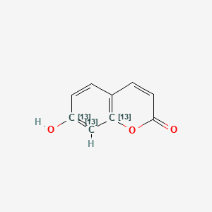7-Hydroxy Coumarin-13C3