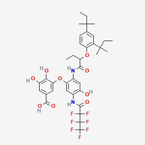 molecular formula C37H41F7N2O9 B563511 3-[2-[2-(2,4-Di-tert-pentylphenoxy)butyrylamino]-5-[(heptafluorobutyryl)amino]-4-hydroxyphenoxy]-4,5-dihydroxybenzoic acid CAS No. 109059-96-3