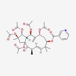 molecular formula C36H45NO13 B563514 Jatrophane 1 CAS No. 210108-85-3