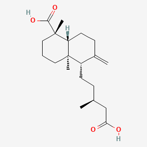 molecular formula C20H32O4 B563534 Junicedric acid CAS No. 41787-69-3