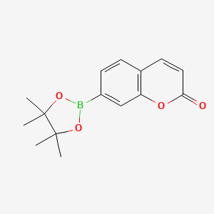 molecular formula C15H17BO4 B563854 Coumarin-7-pinacolboronate CAS No. 190788-61-5