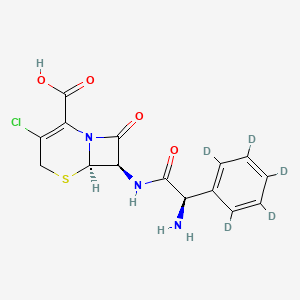 molecular formula C15H14ClN3O4S B563860 头孢克肟-d5 CAS No. 1426173-90-1