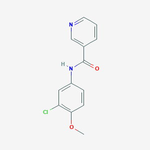 molecular formula C13H11ClN2O2 B5639158 N-(3-chloro-4-methoxyphenyl)pyridine-3-carboxamide 