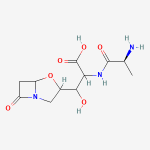 molecular formula C11H17N3O6 B564182 2-[[(2S)-2-aminopropanoyl]amino]-3-hydroxy-3-(7-oxo-4-oxa-1-azabicyclo[3.2.0]heptan-3-yl)propanoic acid CAS No. 103059-96-7