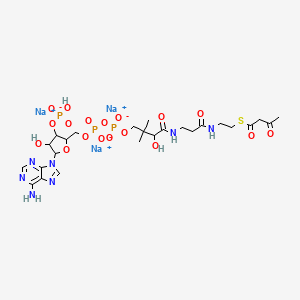 molecular formula C25H37N7Na3O18P3S B564227 Trisodium;[5-(6-aminopurin-9-yl)-4-hydroxy-2-[[[[3-hydroxy-2,2-dimethyl-4-oxo-4-[[3-oxo-3-[2-(3-oxobutanoylsulfanyl)ethylamino]propyl]amino]butoxy]-oxidophosphoryl]oxy-oxidophosphoryl]oxymethyl]oxolan-3-yl] hydrogen phosphate CAS No. 102029-52-7