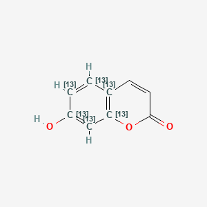 molecular formula C9H6O3 B564262 7-Hydroxy Coumarin-13C6 CAS No. 1189992-05-9