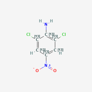 molecular formula C6H4Cl2N2O2 B564290 2,6-Dichloro-4-nitroaniline-13C6 (Dichloran-13C6) CAS No. 1185125-07-8