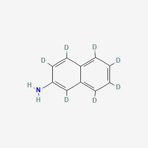molecular formula C10H9N B564340 2-Aminonaphthalene-d7 CAS No. 93951-94-1