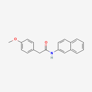 molecular formula C19H17NO2 B5643662 2-(4-methoxyphenyl)-N-(2-naphthyl)acetamide 