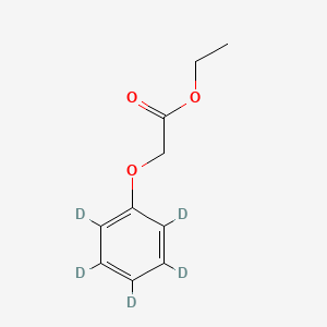 molecular formula C10H12O3 B564508 Phenoxy-d5-acetic Acid Ethyl Ester CAS No. 1189442-18-9
