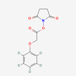 molecular formula C12H11NO5 B564509 N-(Phenoxy-d5-acetoxy)succinimide CAS No. 1217052-36-2