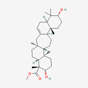 molecular formula C31H50O4 B564603 Methyl lycernuate A 
