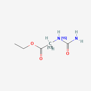 Hydantoic Acid-13C,15N Ethyl Ester