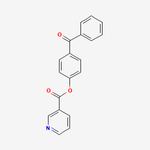 molecular formula C19H13NO3 B5649191 (4-Benzoylphenyl) pyridine-3-carboxylate 