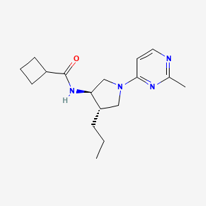 molecular formula C17H26N4O B5650104 N-[(3R,4S)-1-(2-methylpyrimidin-4-yl)-4-propylpyrrolidin-3-yl]cyclobutanecarboxamide 