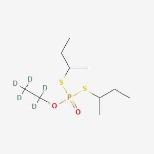 molecular formula C10H23O2PS2 B565079 Cadusafos-d5 CAS No. 1215380-71-4