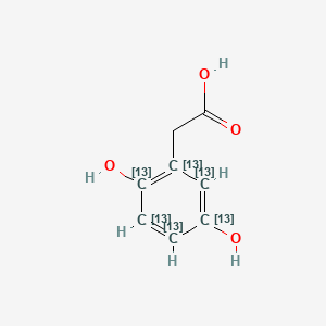 molecular formula C8H8O4 B565185 Homogentisic Acid-13C6 CAS No. 1216468-48-2