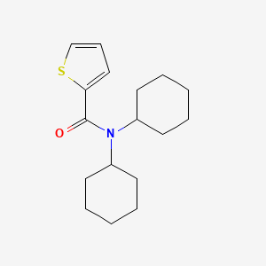 molecular formula C17H25NOS B5652079 N,N-dicyclohexylthiophene-2-carboxamide 