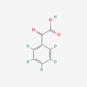 molecular formula C8H6O3 B565220 Phenylglyoxylic Acid-d5 