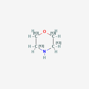 molecular formula C4H9NO B565252 Morpholine-13C4 CAS No. 1217024-56-0