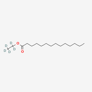 molecular formula C16H32O2 B565283 Ethyl Myristate-d5 CAS No. 1217033-63-0
