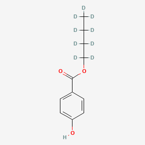 molecular formula C11H14O3 B565421 Butylparaben-d9 