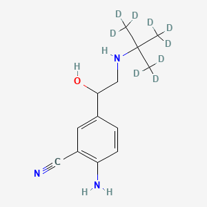 molecular formula C13H19N3O B565684 Cimbuterol-d9 CAS No. 1246819-04-4