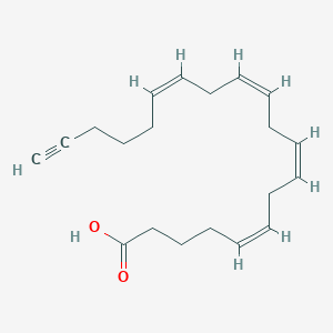 molecular formula C20H28O2 B565829 Arachidonic acid-alkyne 