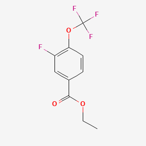 molecular formula C10H8F4O3 B565831 Ethyl 3-fluoro-4-(trifluoromethoxy)benzoate CAS No. 1197231-80-3