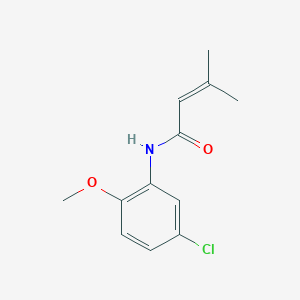 molecular formula C12H14ClNO2 B5658719 N-(5-chloro-2-methoxyphenyl)-3-methylbut-2-enamide 