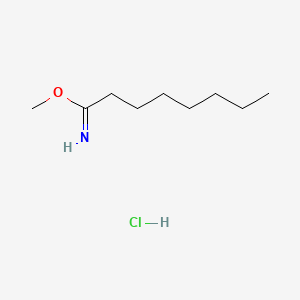 molecular formula C9H20ClNO B566086 Methyl octanimidate hydrochloride CAS No. 52011-54-8