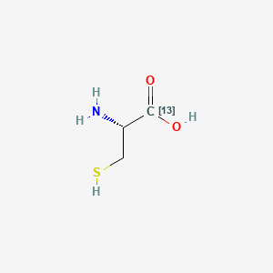molecular formula C3H7NO2S B566155 L-Cysteine-1-13C CAS No. 224054-24-4