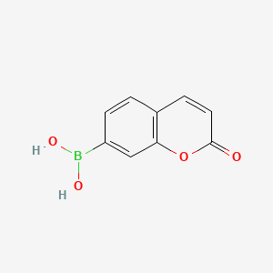 molecular formula C9H7BO4 B566181 Coumarin boronic acid 