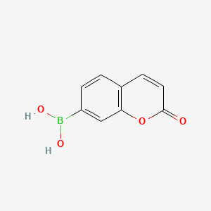 (2-Oxochromen-7-YL)boronic acid
