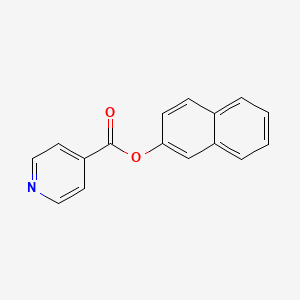 molecular formula C16H11NO2 B5661994 Naphthalen-2-yl pyridine-4-carboxylate 