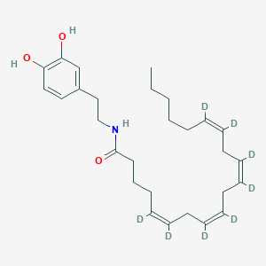molecular formula C28H41NO3 B566233 N-Arachidonoyl Dopamine-d8 