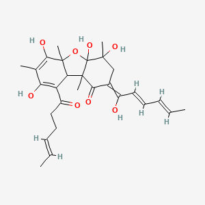 molecular formula C28H36O8 B566322 9-[(E)-hex-4-enoyl]-4,4a,6,8-tetrahydroxy-2-[(2E,4E)-1-hydroxyhexa-2,4-dienylidene]-4,5a,7,9b-tetramethyl-3,9a-dihydrodibenzofuran-1-one CAS No. 103804-08-6