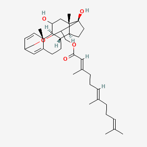 molecular formula C36H52O5 B566348 [(4S,5S,8S,9S,12R,18R)-6,12-dihydroxy-8,18-dimethyl-14-oxapentacyclo[13.3.1.04,9.05,18.08,12]nonadeca-1(19),16-dien-13-yl]methyl (2E,6E)-3,7,11-trimethyldodeca-2,6,10-trienoate CAS No. 105217-71-8