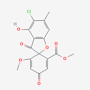 molecular formula C17H13ClO7 B566525 Methyl 5-chloro-4-hydroxy-5'-methoxy-6-methyl-3,3'-dioxospiro[1-benzofuran-2,6'-cyclohexa-1,4-diene]-1'-carboxylate CAS No. 103470-59-3