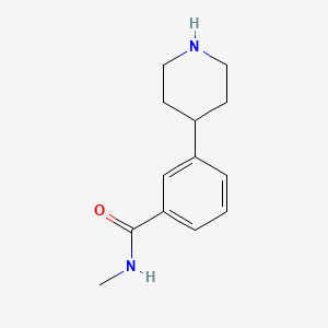 molecular formula C13H18N2O B566674 N-Methyl-3-(piperidin-4-YL)benzamide CAS No. 1221279-03-3