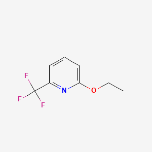 molecular formula C8H8F3NO B566809 2-Ethoxy-6-(trifluoromethyl)pyridine CAS No. 1245563-18-1