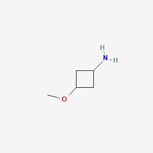 molecular formula C5H11NO B566872 3-Methoxycyclobutanamine CAS No. 1234615-98-5