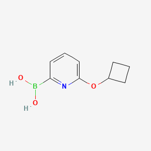 (6-Cyclobutoxypyridin-2-yl)boronic acid