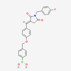molecular formula C25H21BFNO5 B566941 Boronic acid, B-[4-[[4-[(E)-[1-[(4-fluorophenyl)Methyl]-2,5-dioxo-3-pyrrolidinylidene]Methyl]phenoxy]Methyl]phenyl]- CAS No. 1312201-54-9