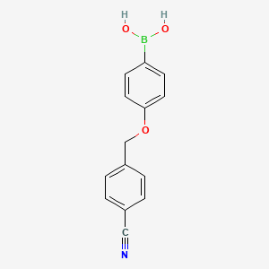 molecular formula C14H12BNO3 B566961 (4-((4-Cyanobenzyl)oxy)phenyl)boronic acid CAS No. 1256355-70-0