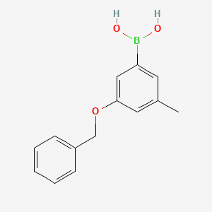 molecular formula C14H15BO3 B566971 3-(Benzyloxy)-5-methylphenylboronic acid CAS No. 1256355-61-9