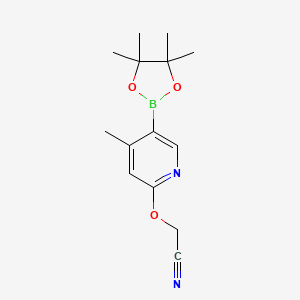 2-((4-Methyl-5-(4,4,5,5-tetramethyl-1,3,2-dioxaborolan-2-yl)pyridin-2-yl)oxy)acetonitrile